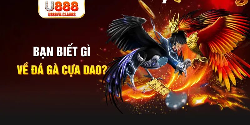 j88vip SW Xổ Số