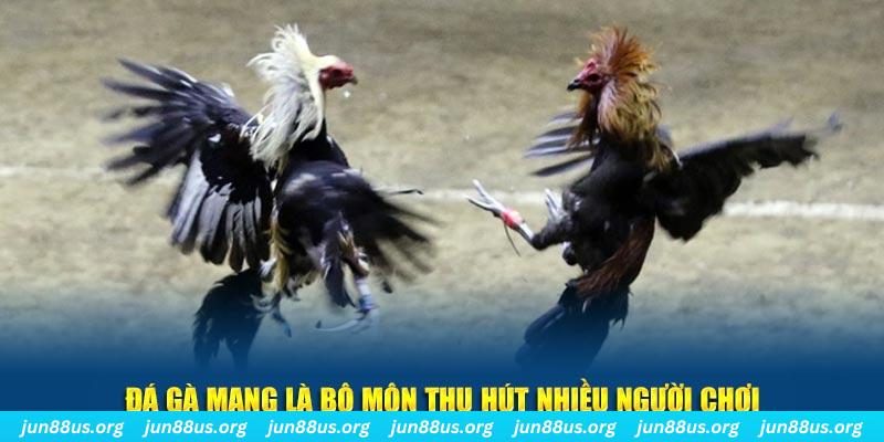 j88vip nổ hủ nghĩa là gì