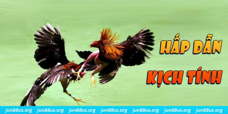 j88vip đăng nhập roulette online