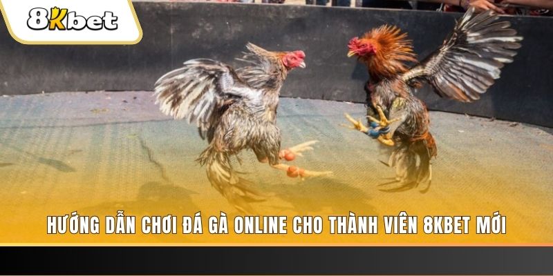 j88vip JILI Game Bài 3d