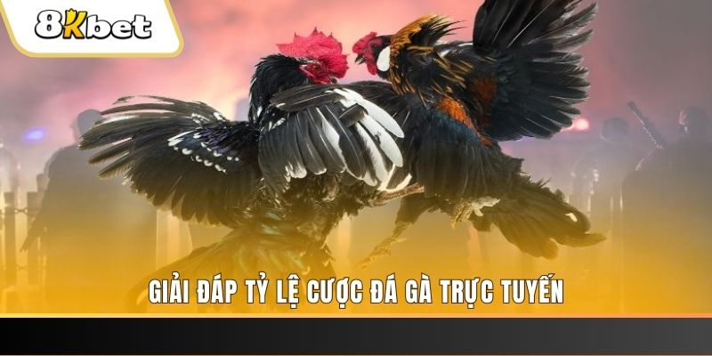 j88vip ga choi cau thanh
