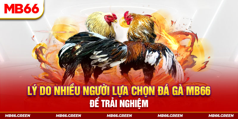 j88vip đăng nhập liêng trực tiếp