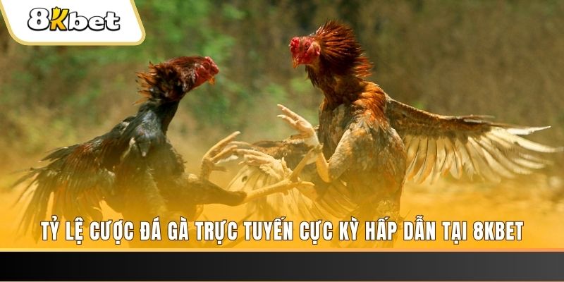 j88vip đăng nhập nổ hũ trực tuyến