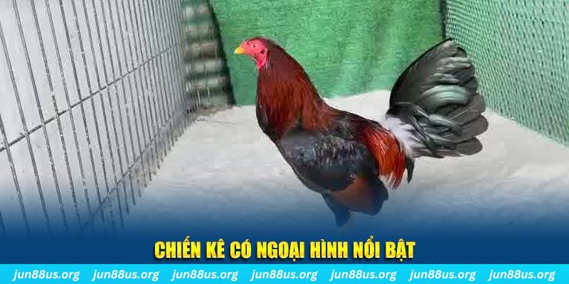 j88vip game bắn cá