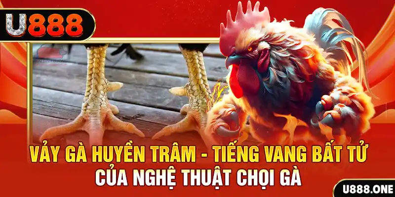 j88vip đăng nhập roulette trực tuyến